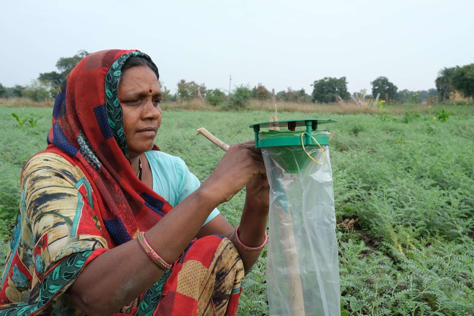 Resham Bai_Radheshayam_27december2024 (6)