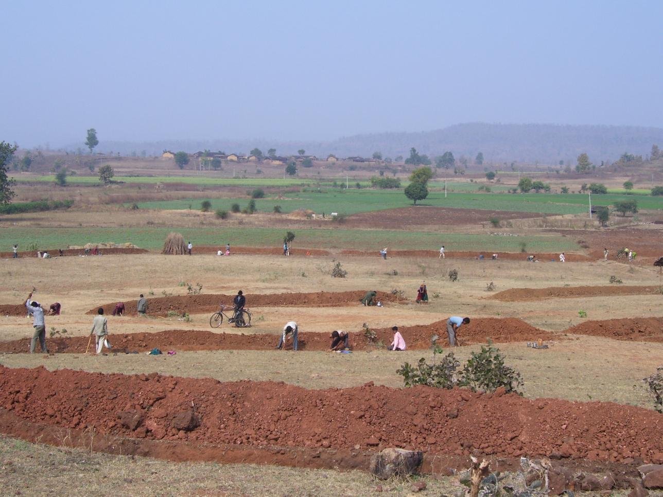 17Soil and moisture conservation through farm bunding under MGNREGA vill Agra01