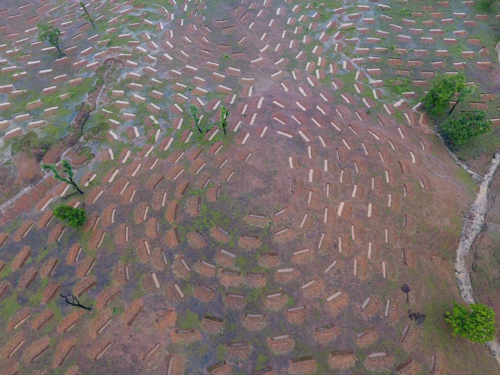 DJI_0022